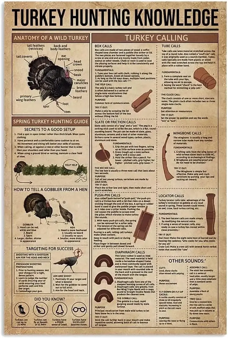 Panneaux métalliques éducatifs sur la chasse au dinde, Panneaux en étain vintage sur l'anatomie d'un dinde sauvage, Affiches scientifiques populaires, Panneaux scolaires