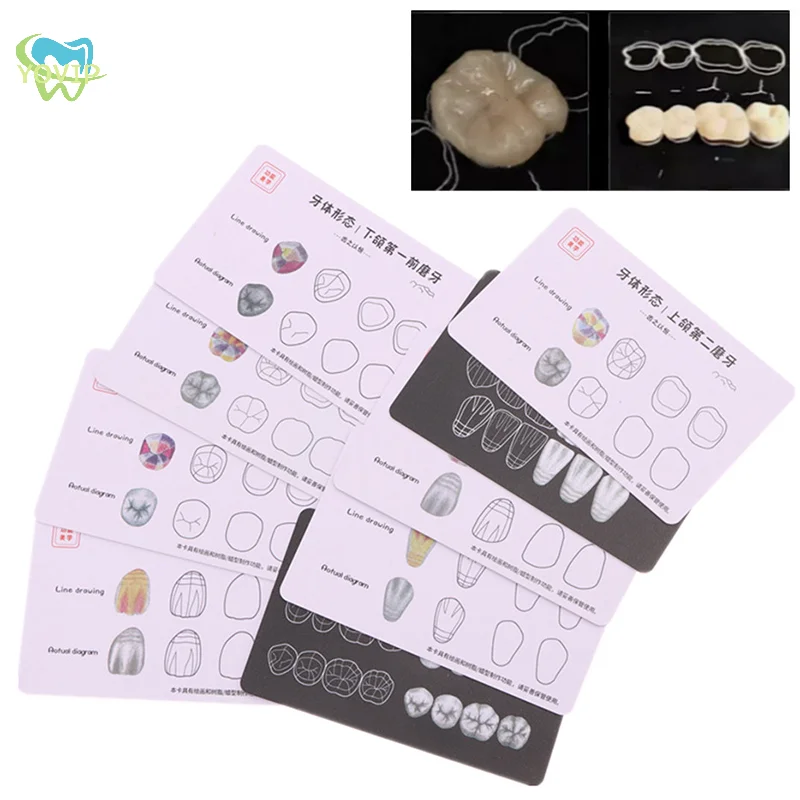 Dental Composite Filling Practice Board Model Teeth Template Restoration Cavity Dentist Anterior Posterior Practise Resin Stack