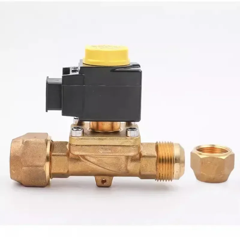 Castor cold storage central air conditioning 10 series solenoid valve two-way valve screw welding solenoid valve 220V