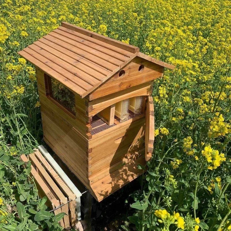 Wooden Bee Hive Box    Honey Automatic Auto Self Flowing Beehive
