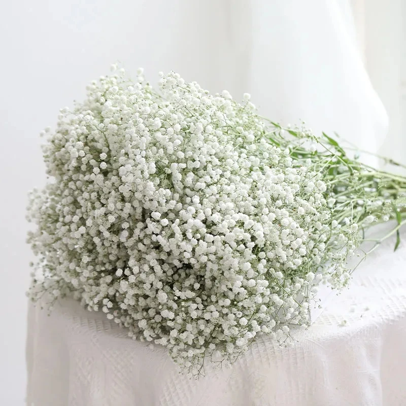 

High Quality Natural Plant Flower Gypsophila Bouquet Baby Breath Natural Dried Preserved Factory Direct Sales 90g/Lot Wedding De