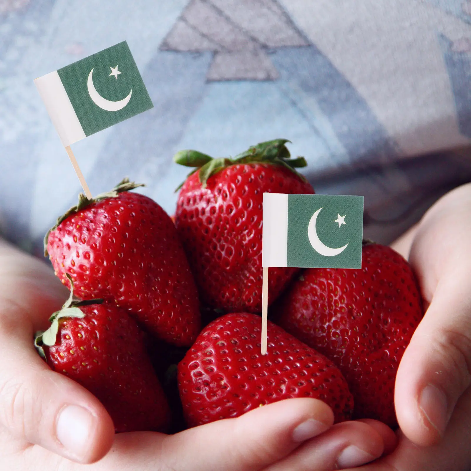 100Pcs Pakistan Flag Dessert Picks Mini National Flag Toothpicks for Fruit Skewers Sushi Plating Cocktail Toppers Party
