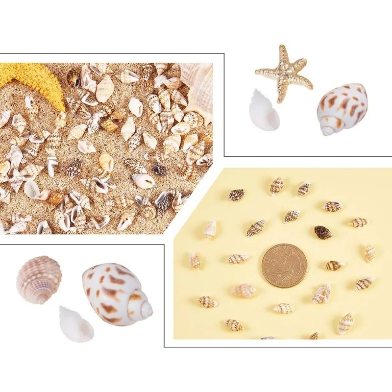 1500pcs Mixed Ocean Sea Shells Natural Seashells Spiral Shell Beads for Fish Tank Home Decor Beach Theme Party Candle Making