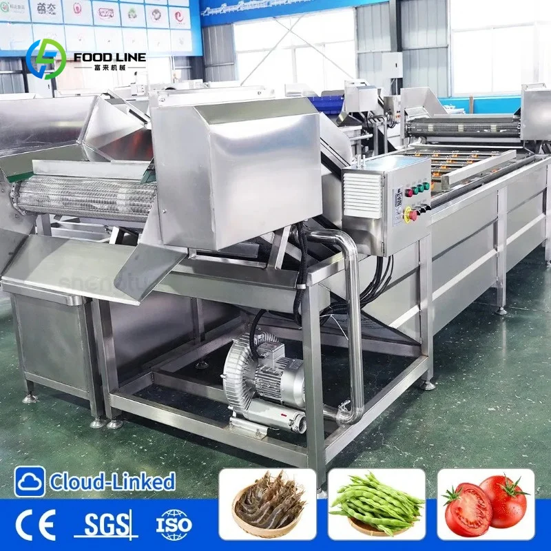 Customized Multi-Stage Bubble Washing Machine for Root Vegetables with Water Recycling