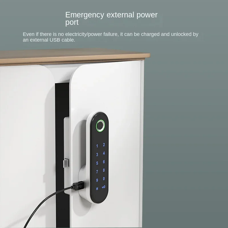 Sauna Cabinet Wardrobe Door & Drawer Locker Lock Fingerprint Password Electronic Smart Zinc Plated 150x42x32mm