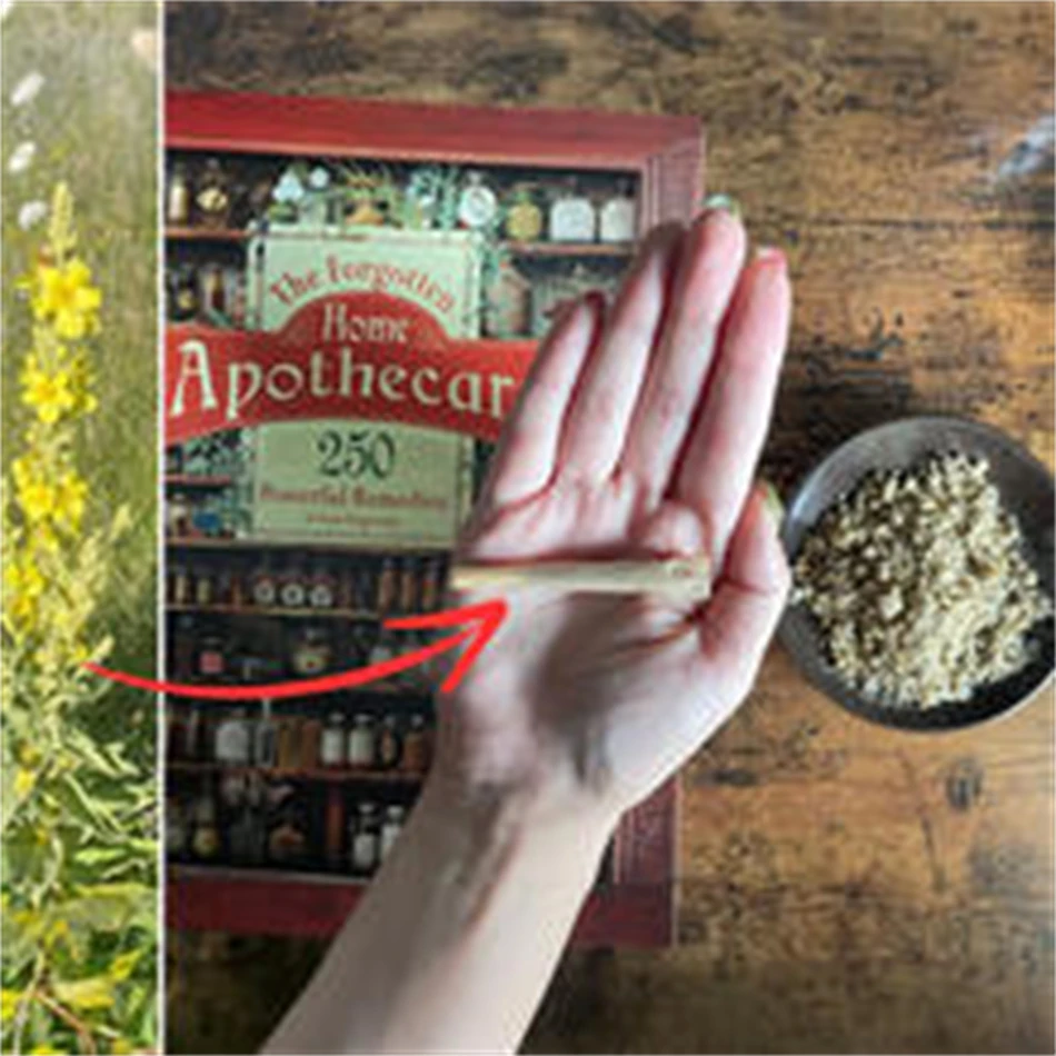 Forgotten Home Apothecary 250 Powerful Natural Healing Secrets At Your Fingertips The Home Doctor Book For Every Family Health