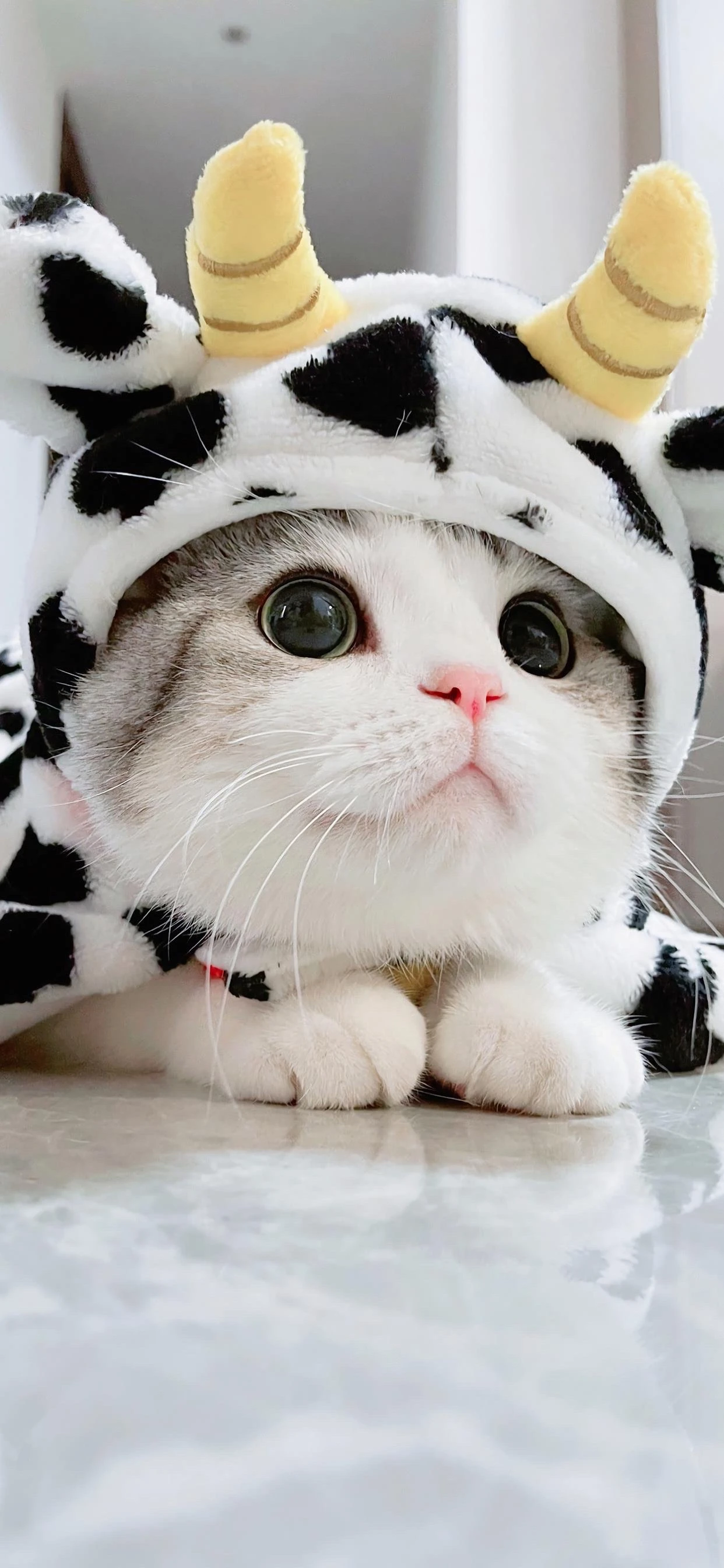 Máquina láser de diodo profesional, 4000W, Alexandrita, hielo, platino, 3 longitudes de onda, utensilio para eliminar el vello indoloro permanente, piel tierna