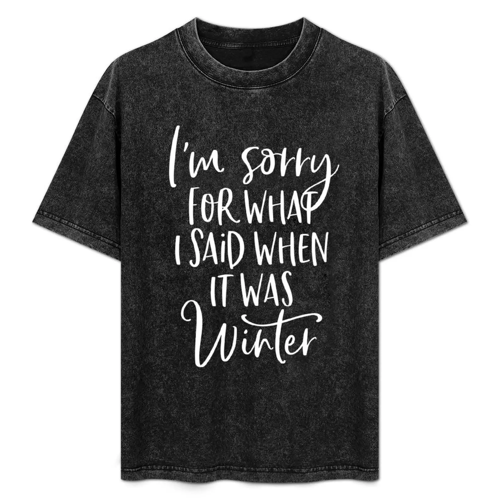 I'm Sorry For What I Said When It Was Winter T-Shirt Big and Tall Solid Color T-Shirt