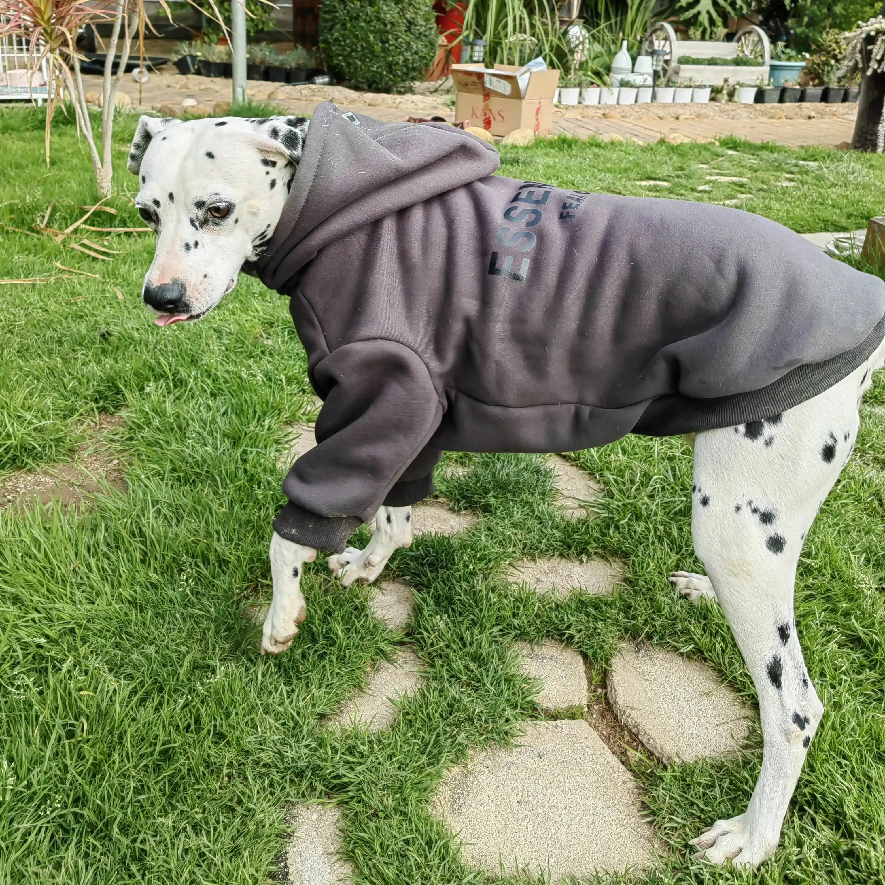 Essentialsed dog clothes for large dogs Luxury Brand Big Dog Hoodies High Quality Fashion Thick Comfortable Winter Warm Dog Coat