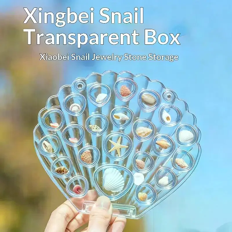 1 Set Transparent Sea Shell Display Cabinet Acrylic Shell Shape Storage Box Mini Beach Stone Decorative Storage Frame