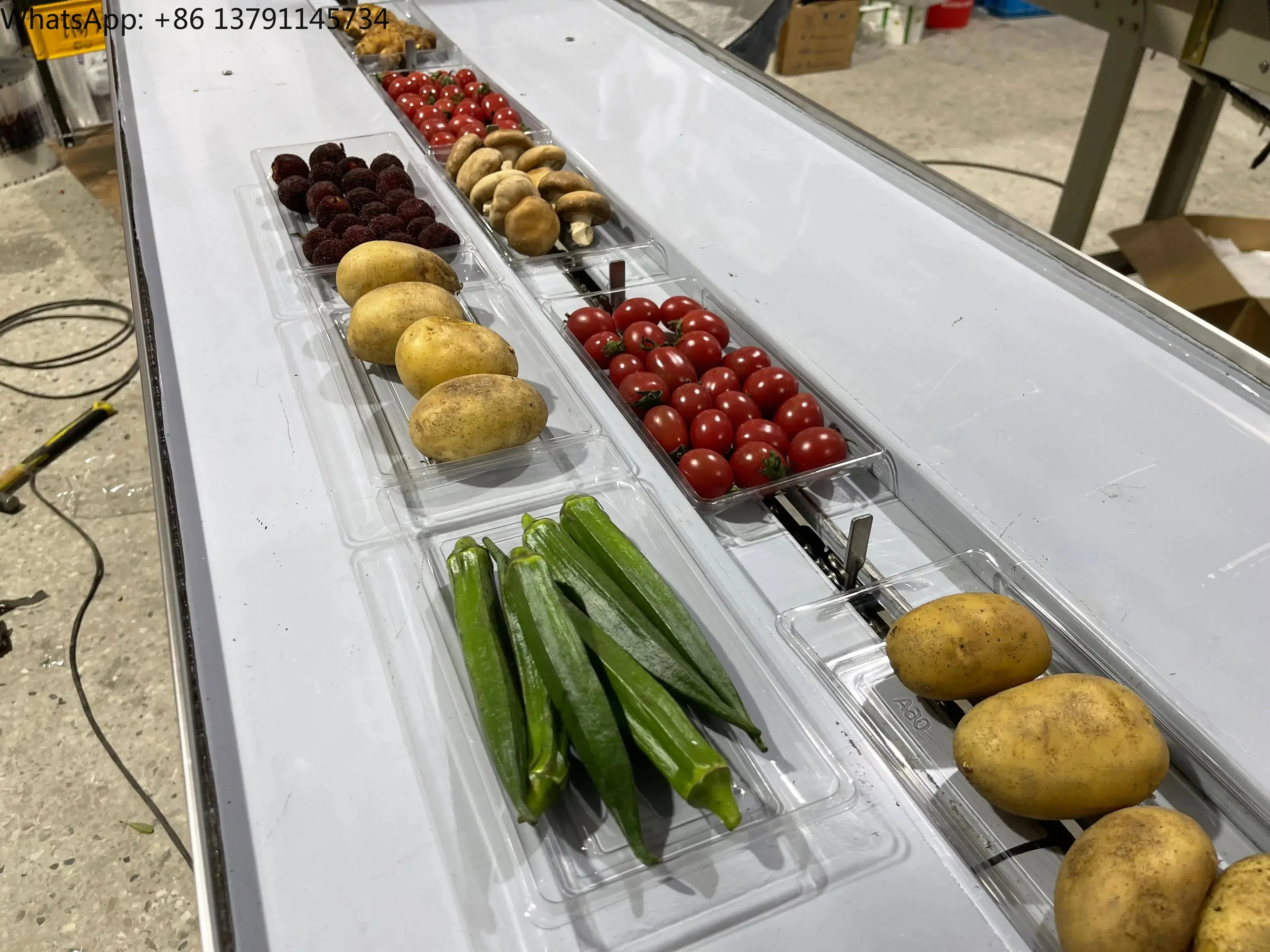 Automatic 2021 Pillow Fruit Lemon Drying and Packaging Machine Manufacturer, Food and Beverage Shop Plastic Electric