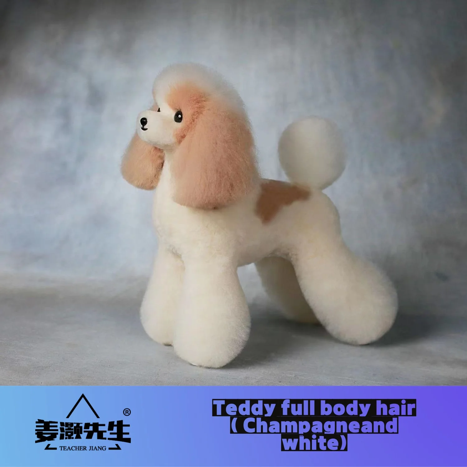 Mr.Jiang Teddy huagui  Pet Teacher Beauty Modeling Practice Dog Model Standard Skeleton Model Dog Whole Body Fake Hair