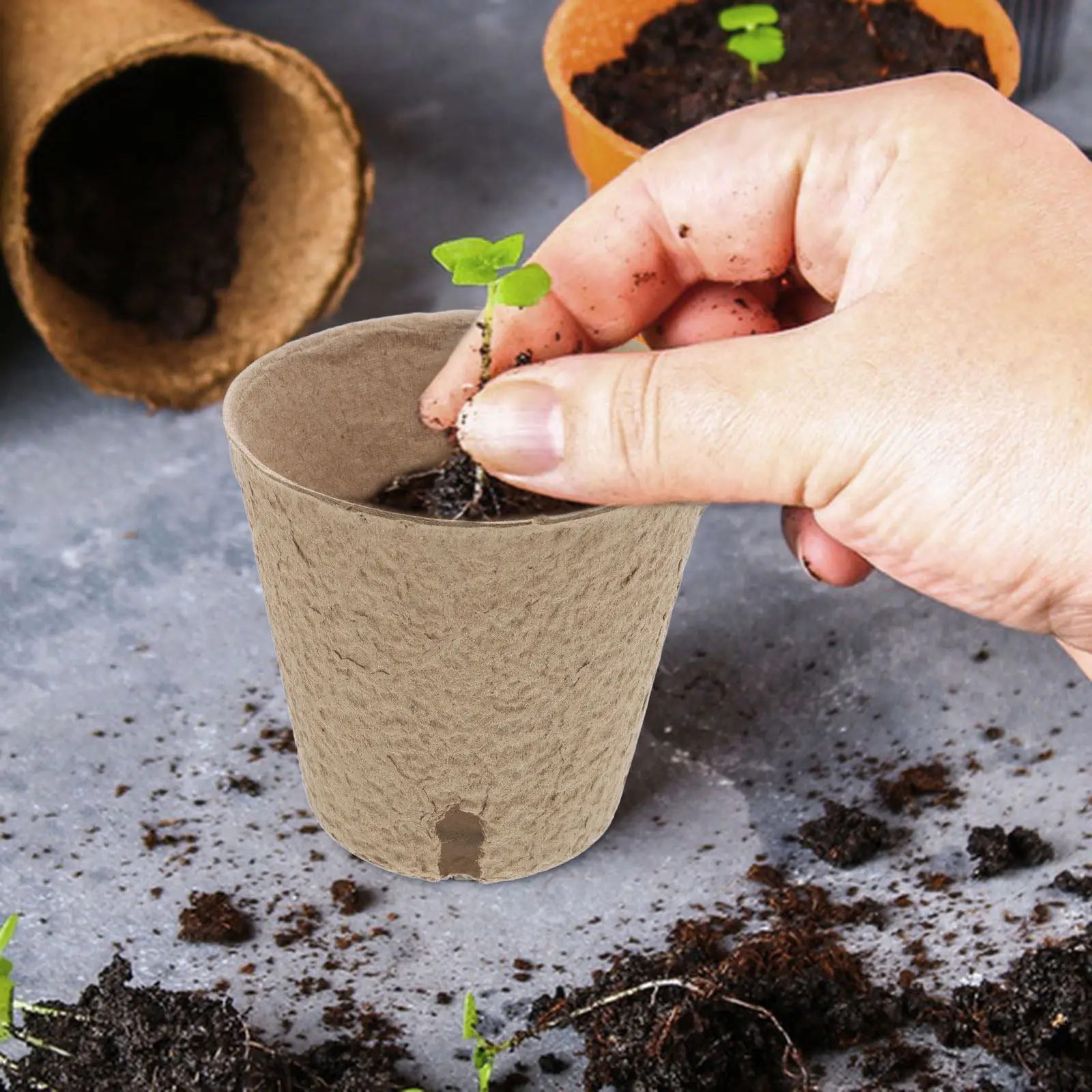 

Набор из 50 бумажных горшков для рассады (дренажные, для проращивания) для детских садоводческих занятий и DIY проектов