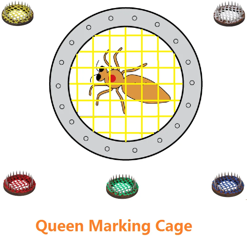 

Queen Marker Cage 10PCS Push-In Queen Bee Marking Cage Needle Type Queen Bee Catcher Isolation Room Bee Cage Beekeeping Tools
