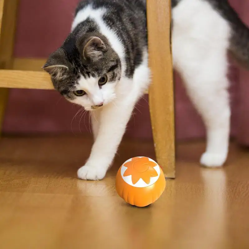 Moving Cat Ball Toy Pumpkin Shape Indoor Boredom Relief Cat Ball Bite-resistant Electric Pet Rolling Ball For Teeth Grinding