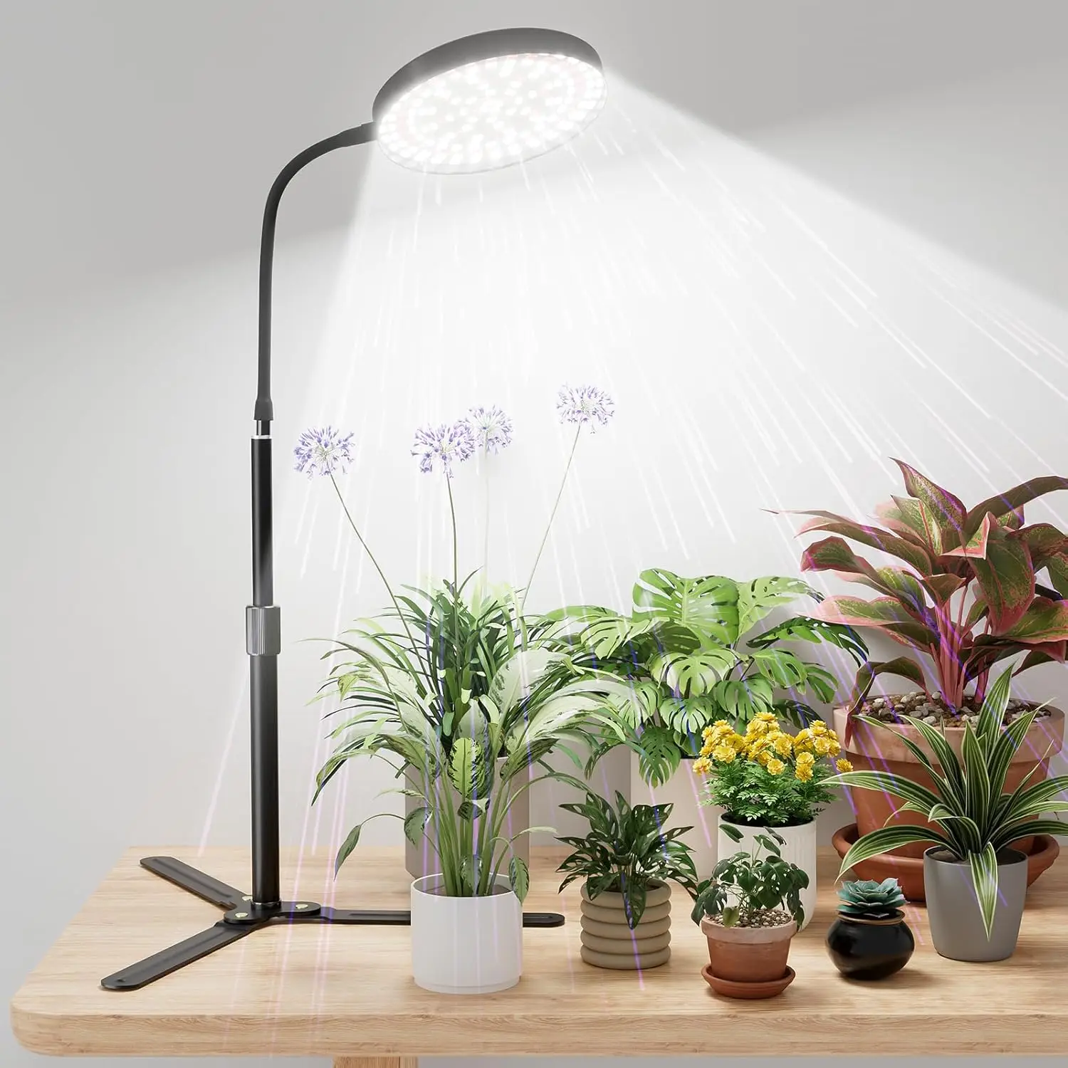 

Full Spectrum LED Grow Light for Indoor Plants, 6000K White Red Blue Lamp with Adjustable Height & Timer