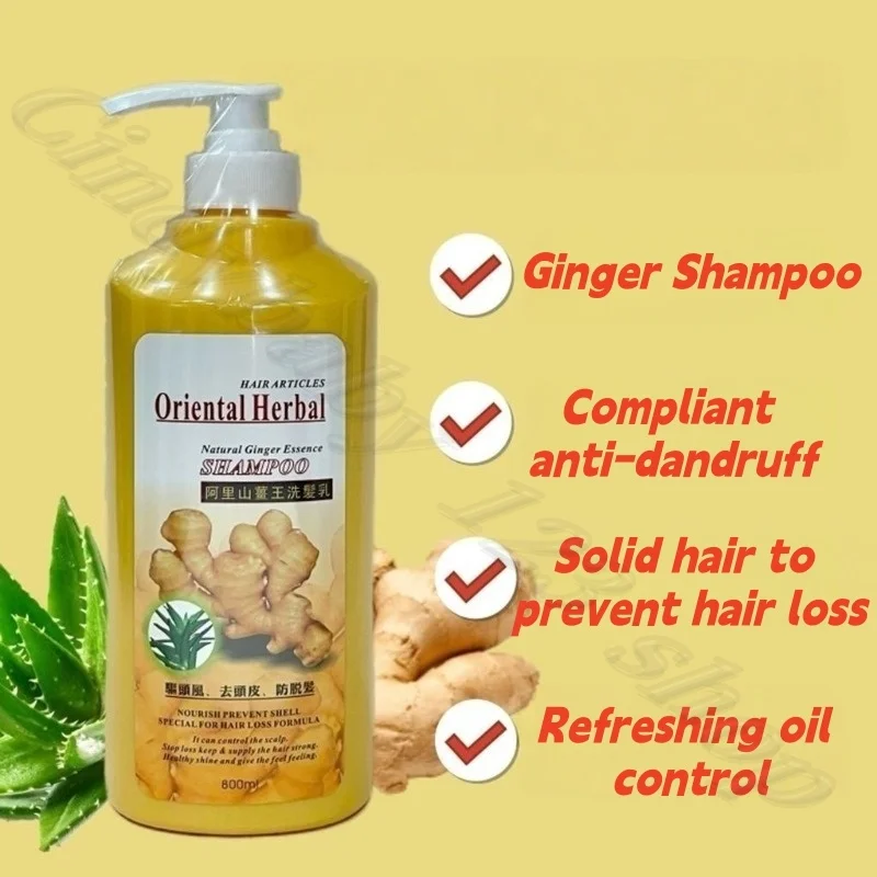 Taiwan Alishan Ginger Shampoo Scalp Exfoliation Oil Control Moisturizing Smooth Nourishing Shampoo Large Capacity 800ml