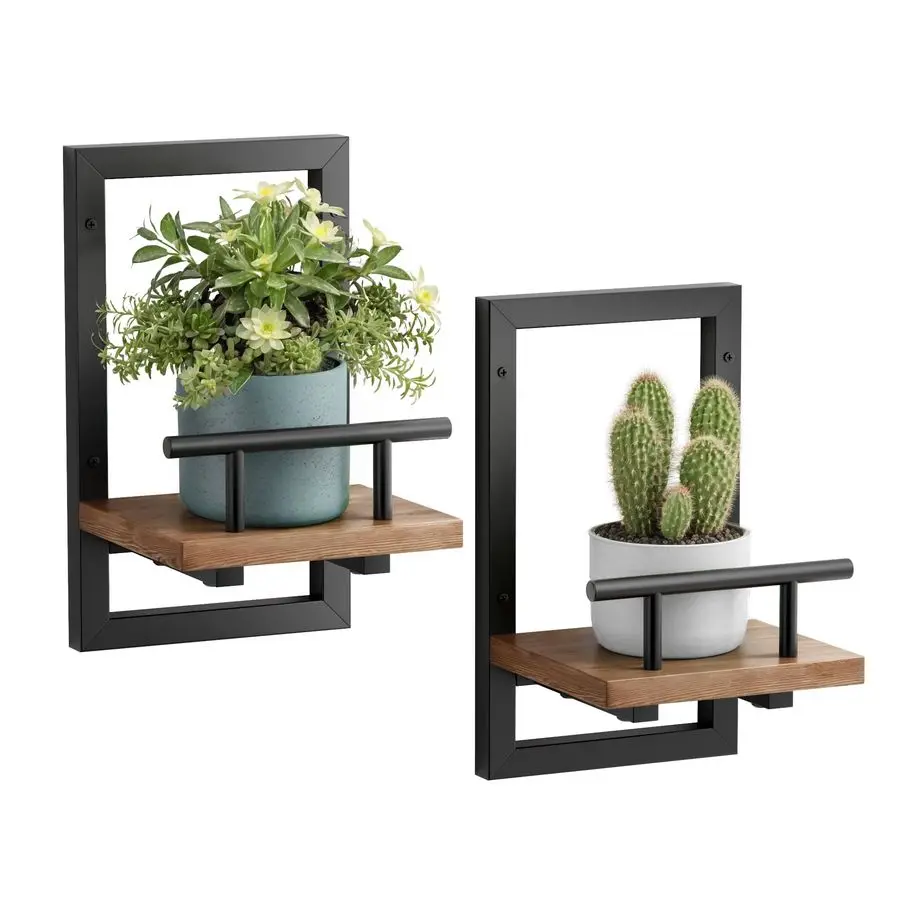 

Shelves for Wall, Plant Shelf Indoor, Wall Planters for Indoor Floating Plant Shelves for Bedroom, Living Room, Kitchen, Office,