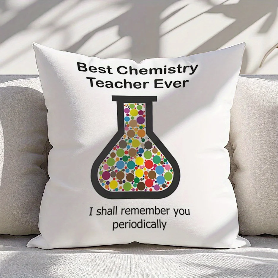 Best Chemistry Teacher Pillow Cover Double Sided Short Plush 18x18 Inch Zipper Washable Science Decor
