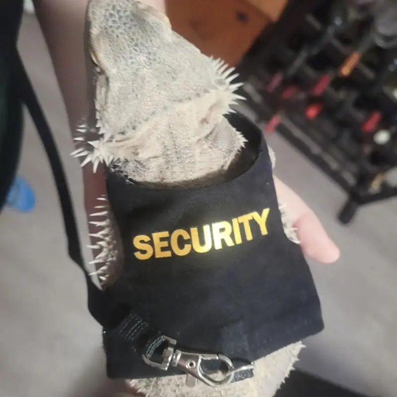 Correas de dragón barbudo ajustables y cómodas, correas de leopardo Gecko, correas y arneses de animales pequeños, seguridad para mascotas para reptiles, 4,76 pies