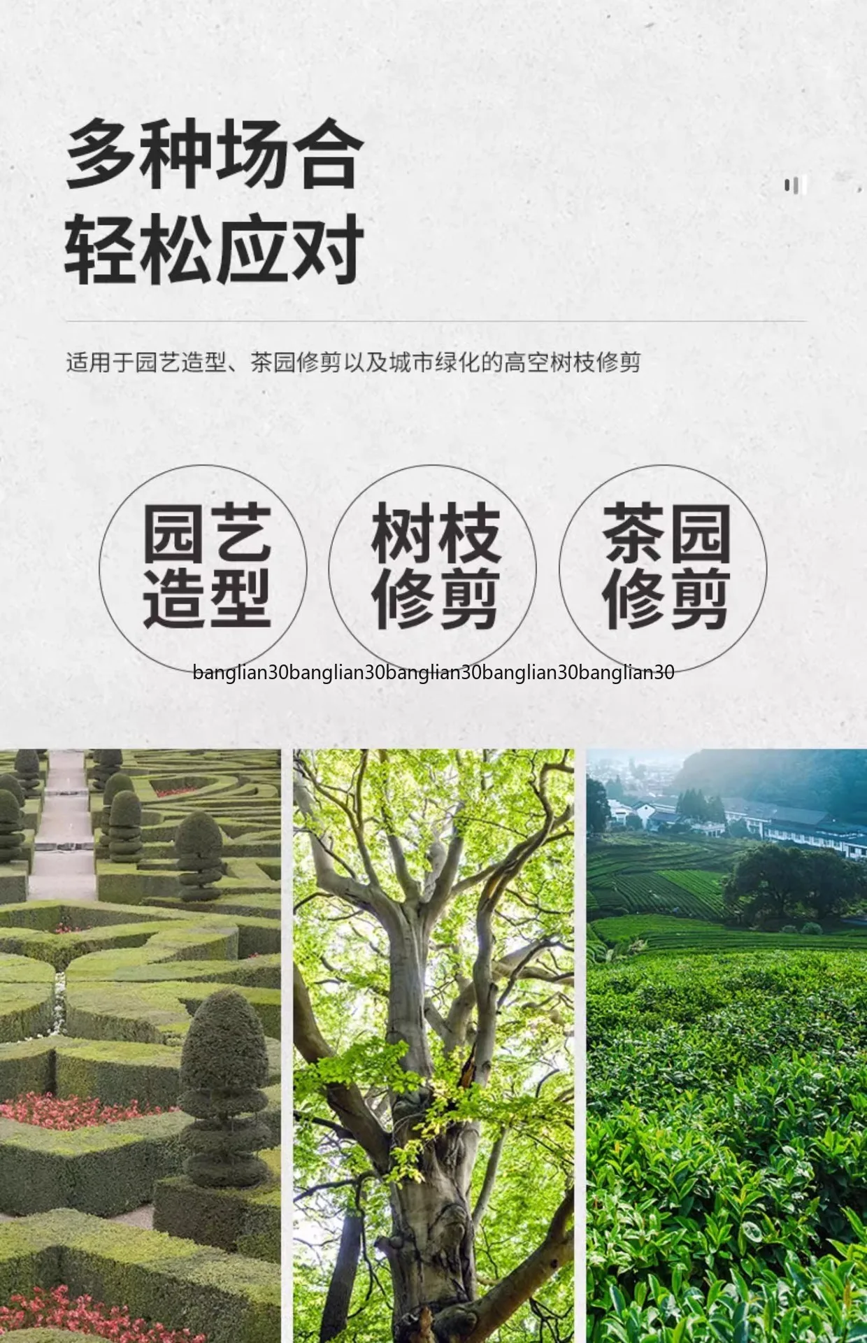 Knapsack Single and Double-edged Tea Tree  Lengthened Electric Hedge Trimmer Rechargeable Landscaping Fence Pruning