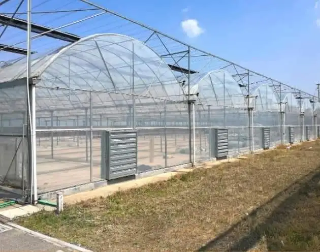 

Customized greenhouseCommercial Film Greenhouse for Tomato Farming - Long-Lasting PE Cover & Ventilation