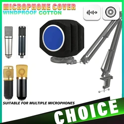 Microphone Pop Filter Wind Shield Acoustic For Record Studios Mic Sound-absorbing Foam Vocal Isolation Ball