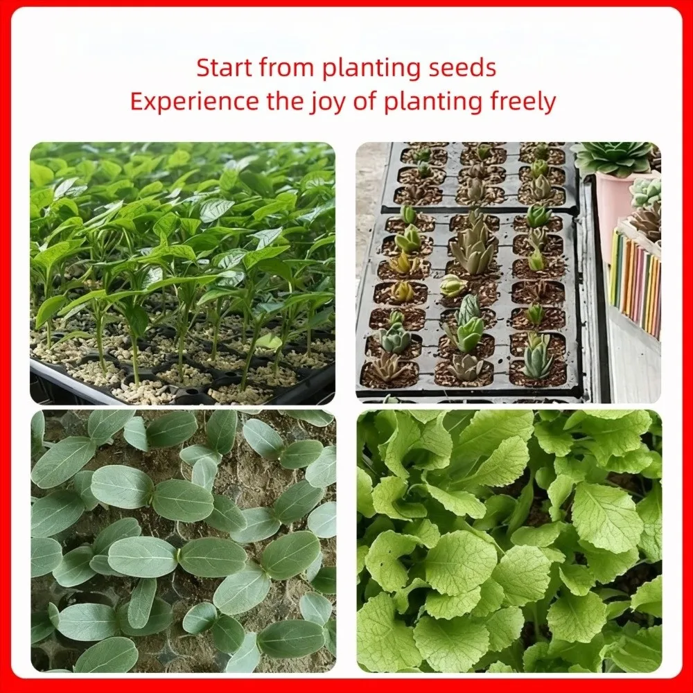 2pcs 54*28cm Seeding Nursery Tray Flower Plant Succulent Germination Tray Seed Starting with Holes Hydroponic Vegetable Tray