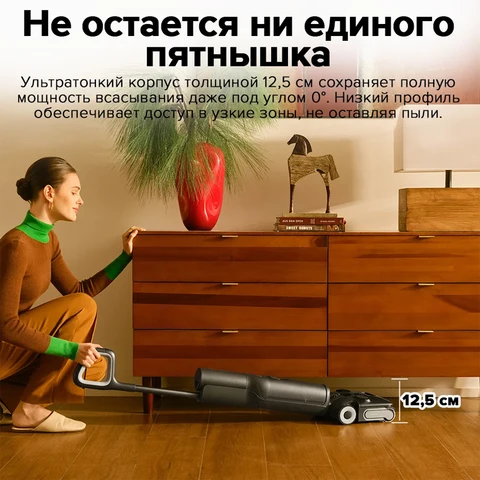 Пылесос Roborock F25 ACE Combo, 150 Вт, беспроводной, с функцией влажной уборки — фото товара