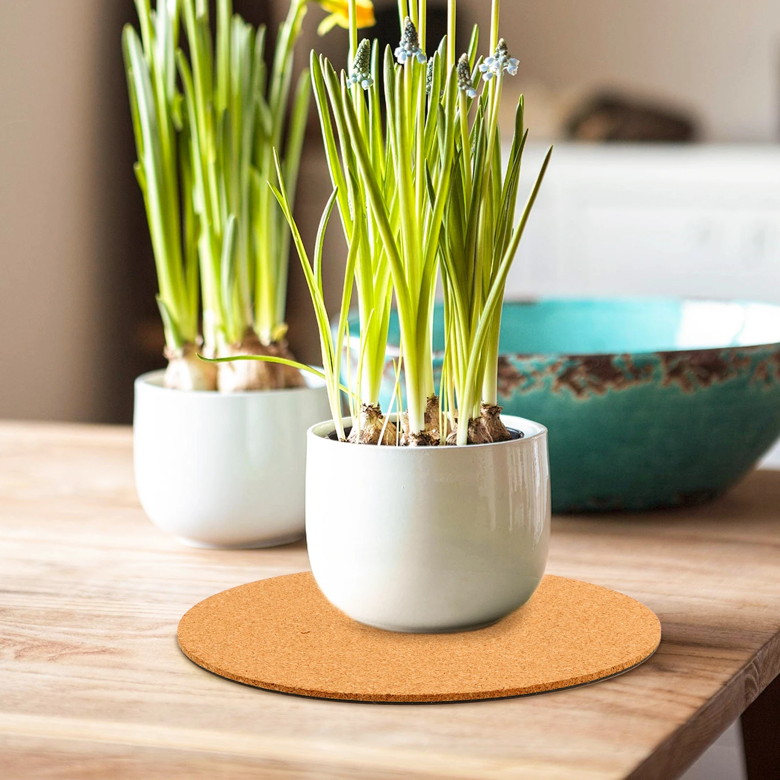 

2 Pcs Cork Planter Office Plants Coasters for Drinks Wedding Flower Pot