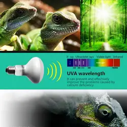 E27E26 100W Ceramic Heat Lamp Warm Quality Light Bulb For Small Pet Turtle Snake Reptile Brooder 220V