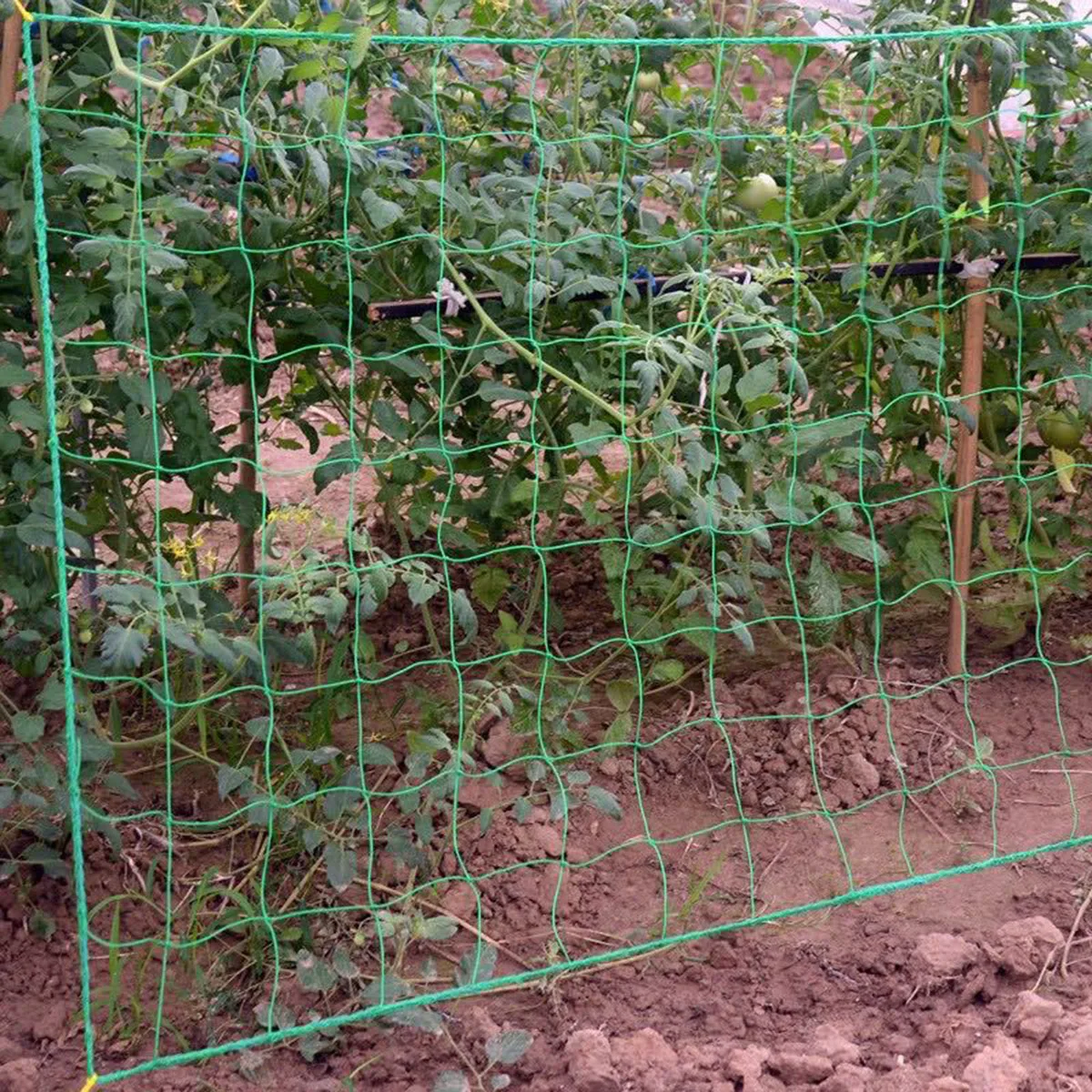 1 confezione rete da giardino per arrampicata, rete da rampicante per piante, griglia quadrata da giardino verde