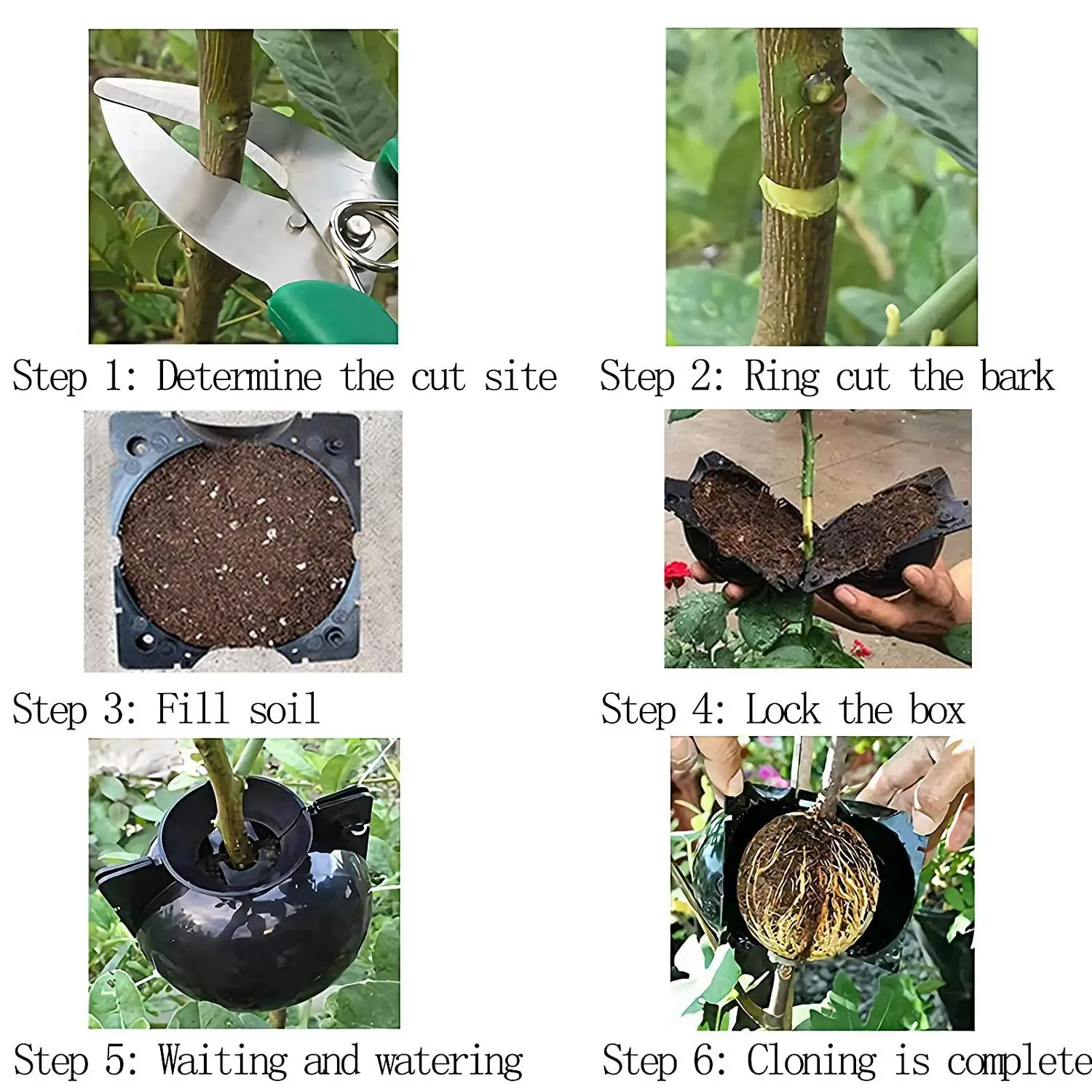 SLQZT 10Pcs Reusable High Pressure Ball Plant Rooting Growing Box for Plants Garden Tool Planting S