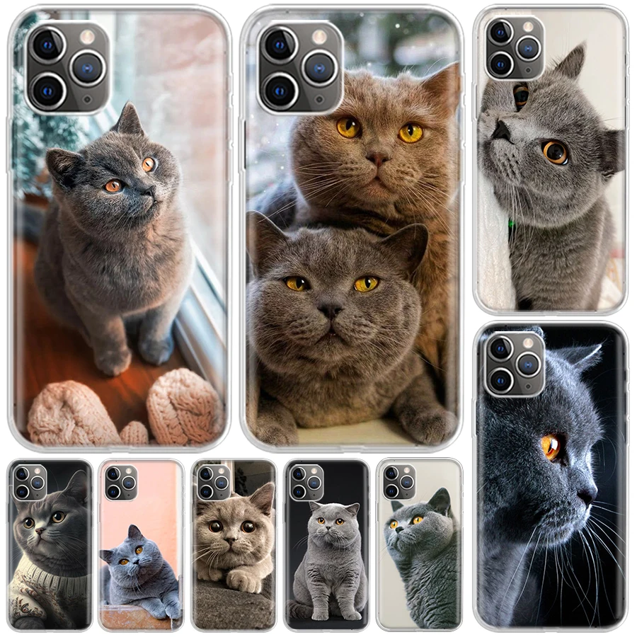 British Shorthair Cat Cover For iPhone 16 15 14 13 12 11 Pro Max Apple Phone Case X XS 7 Plus 8 + Art Customized Print Shell 11 