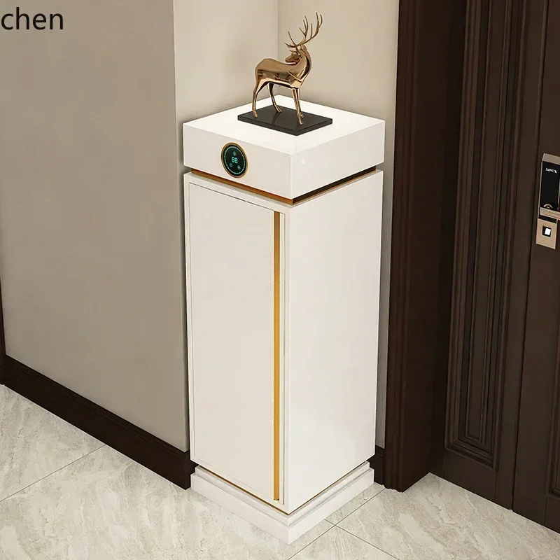 Shoe Cabinet Household Disinfection Deodorization Drying Entrance Cabinet Integrated CabinetN4