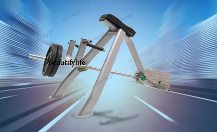 Rowing trainers, barbells, back pulls, strength training, fitness equipment