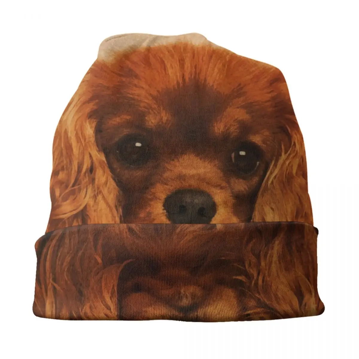 The Cavalier King Charles Spaniel Dog Puppy Bonnet Hats Fashion Knitted Hat For Autumn Winter Warm Animal Skullies Beanies Caps