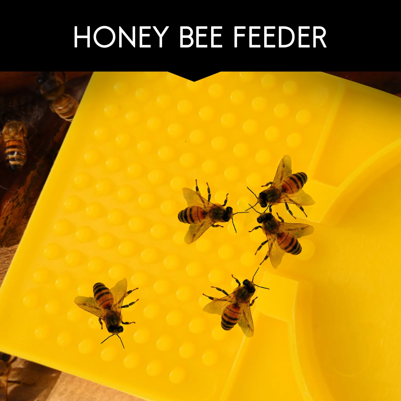 2 Pack Beehive Entrance Water Feeder Plastic Honey Bee Drinking Dispenser for Beekeeping