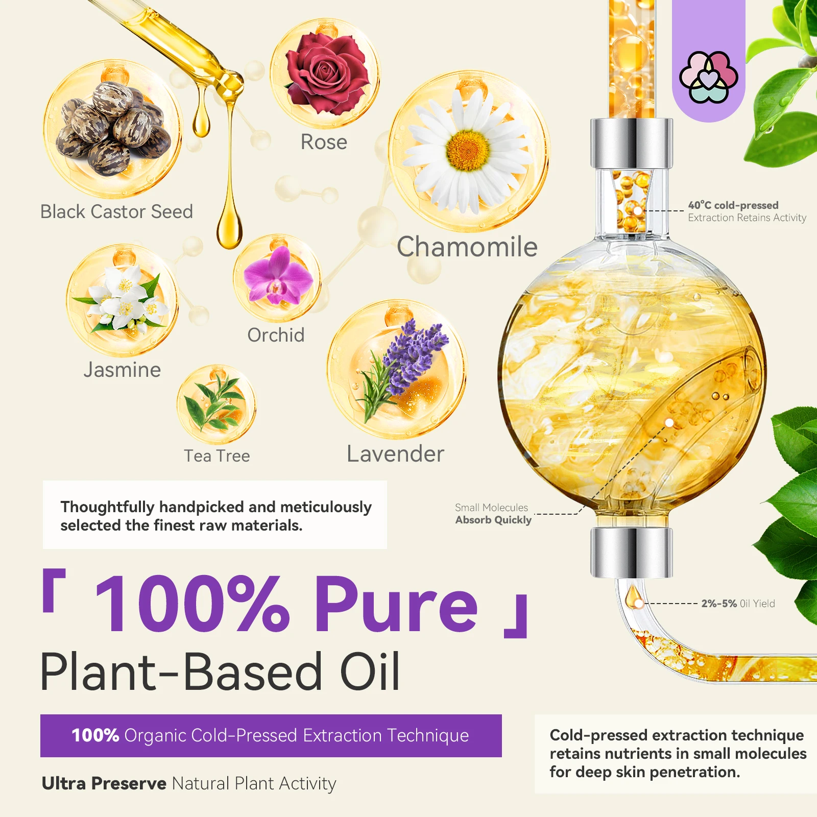 سافيلاند زيت طبيعي للبشرة قوة نمو الأظافر زيت معطر متعدد الأغراض للعناية بالبشرة الروائح مجموعة هدايا عيد الميلاد