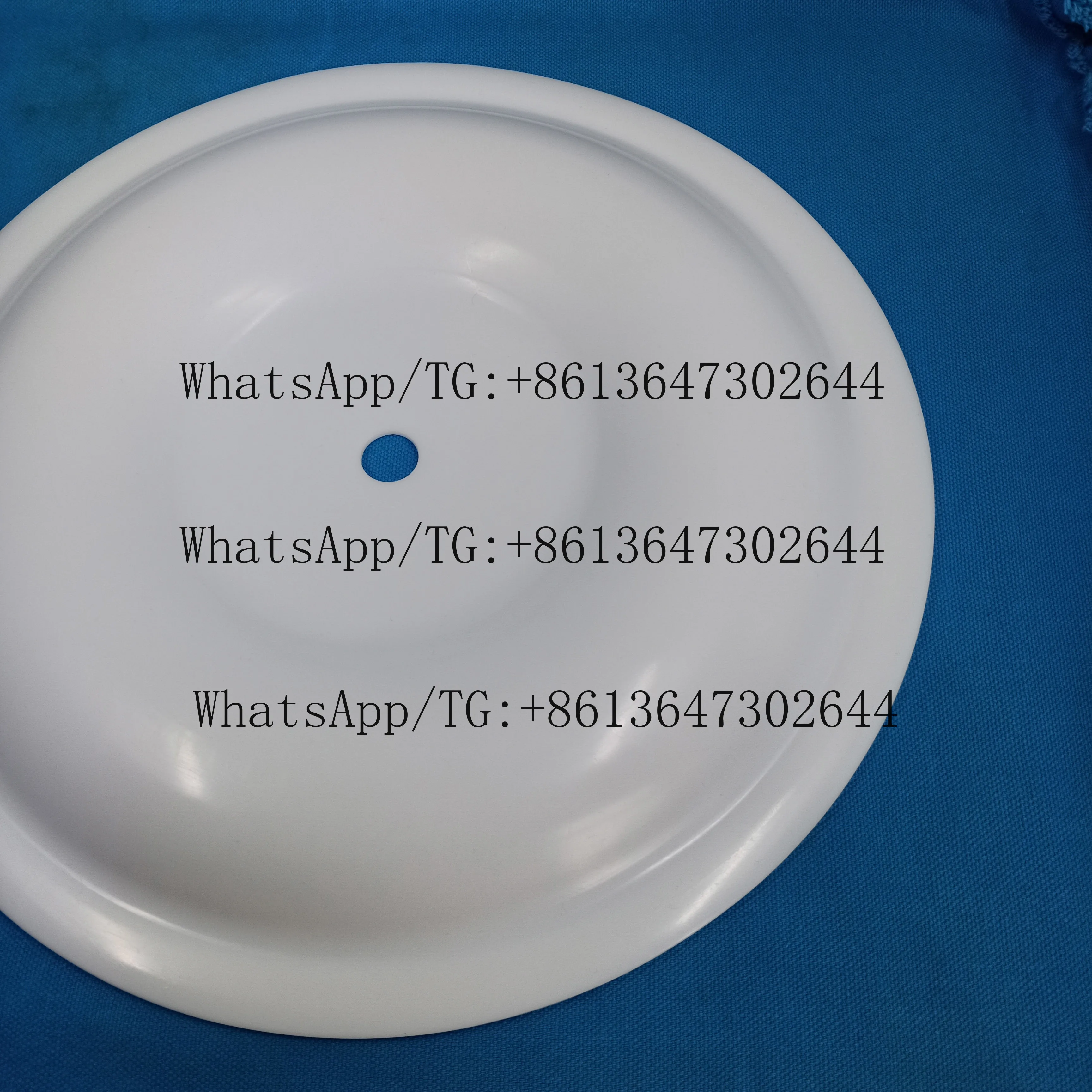Ptfe Rubber Diaphragm CF770815 for Diaphragm Used  in Industrial Diaphragm
