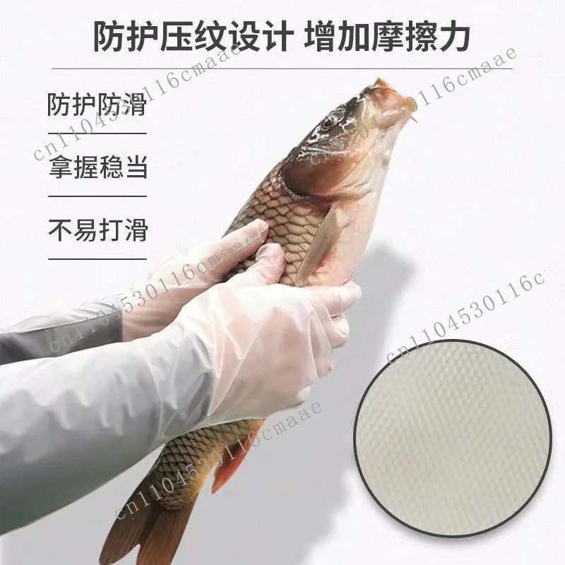 60Cm long housework gloves kitchen food grade disposable gloves