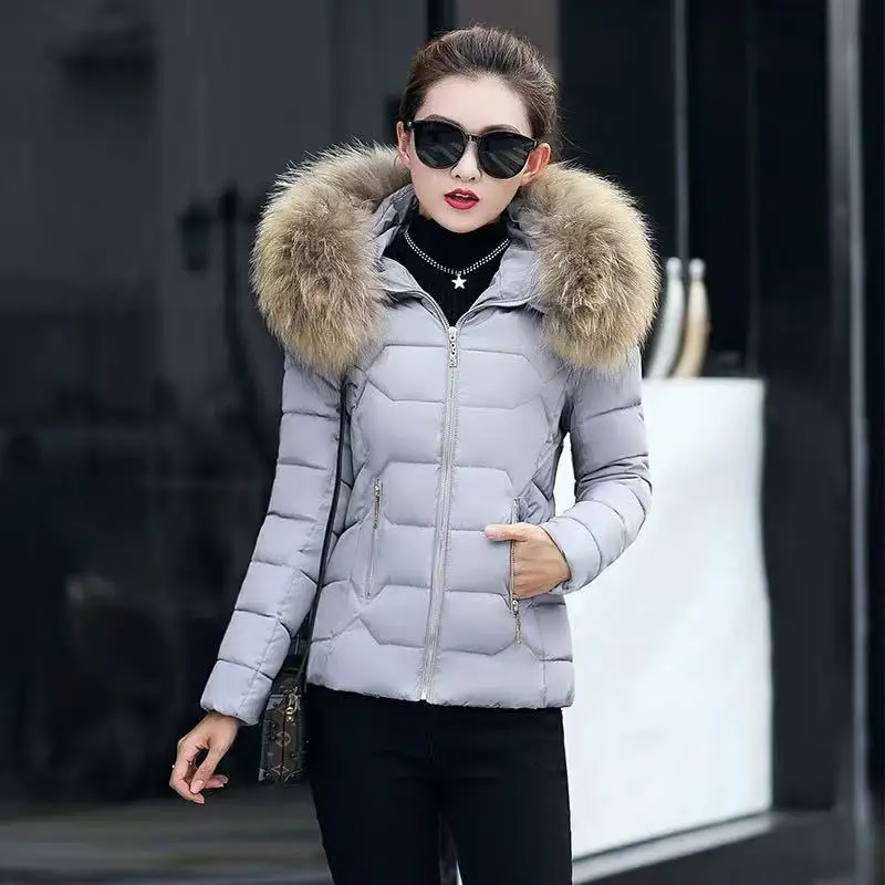 

Artificial raccoon fur collar winter jacket 2025 women Winter And Autumn Wear High Quality Parkas Outwear Women Coats