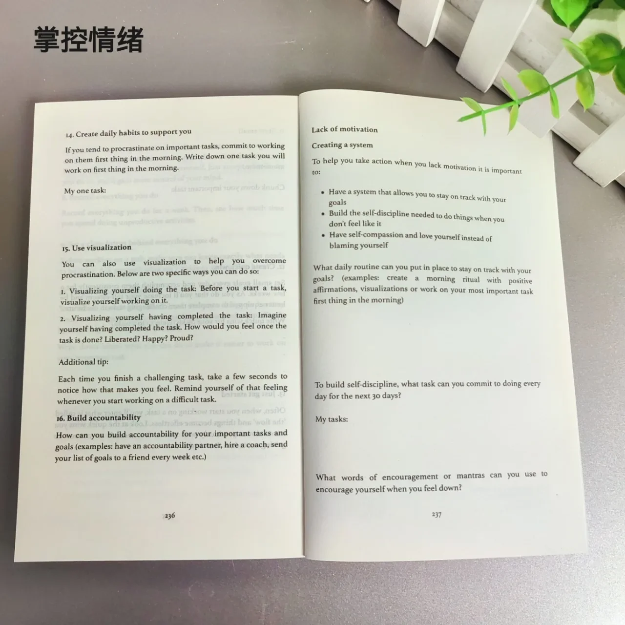 Dominou suas emoções Romance original em inglês de Thibaut Meurisse superar a negatividade e melhor gerenciar seus sentimentos Livro