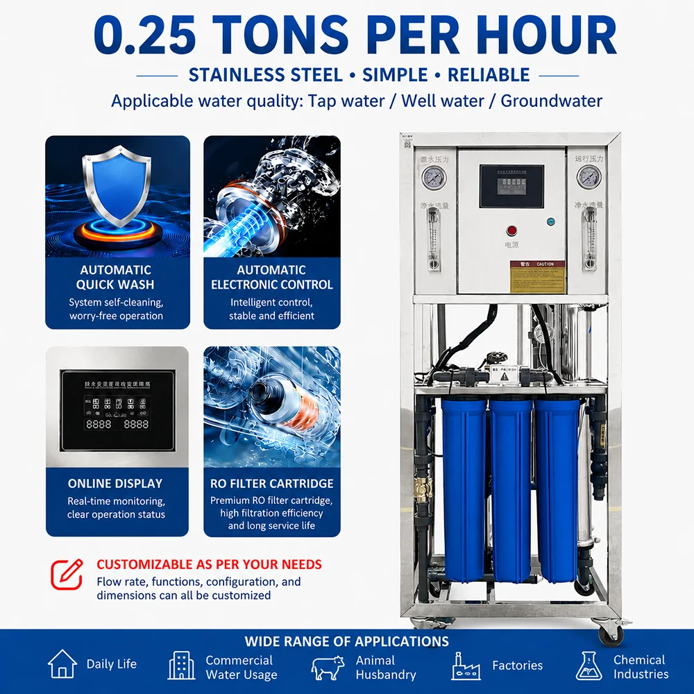 Industrial Water Purification Ro 250lph Water Filter Treatment Reverse Osmosis Filtration Plant Main Water Treatment Machine