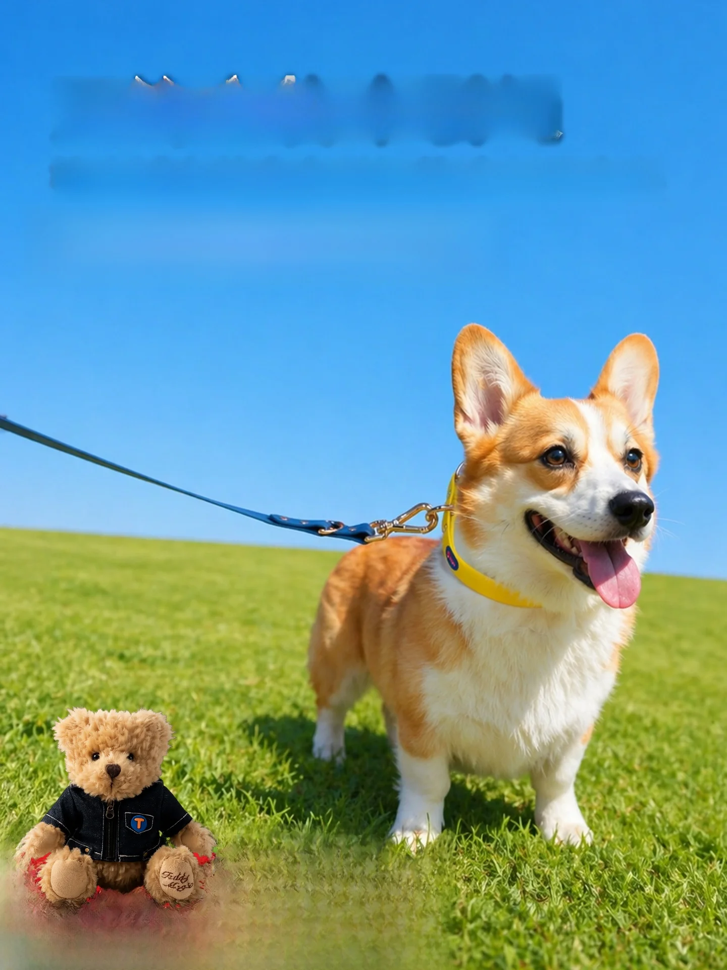 guinzaglio-per-cani-teddy-magic-150cm-imbracatura-da-passeggio-per-cani-da-viaggio-cintura-pettorale-anti-fuga-per-cani-di-piccola-e-media-taglia-accessori-per-animali-domestici