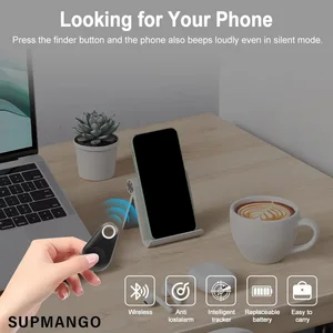 6 Main Localizer Sales - №2