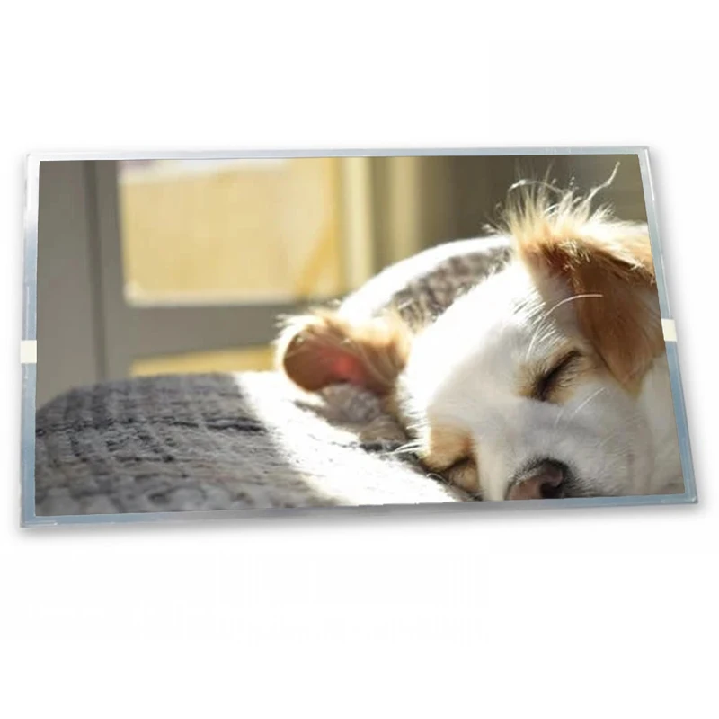 

NEW 4.8" 256*64 FSTN-LCD Display SP12N002 for industrial Zhiyan supply