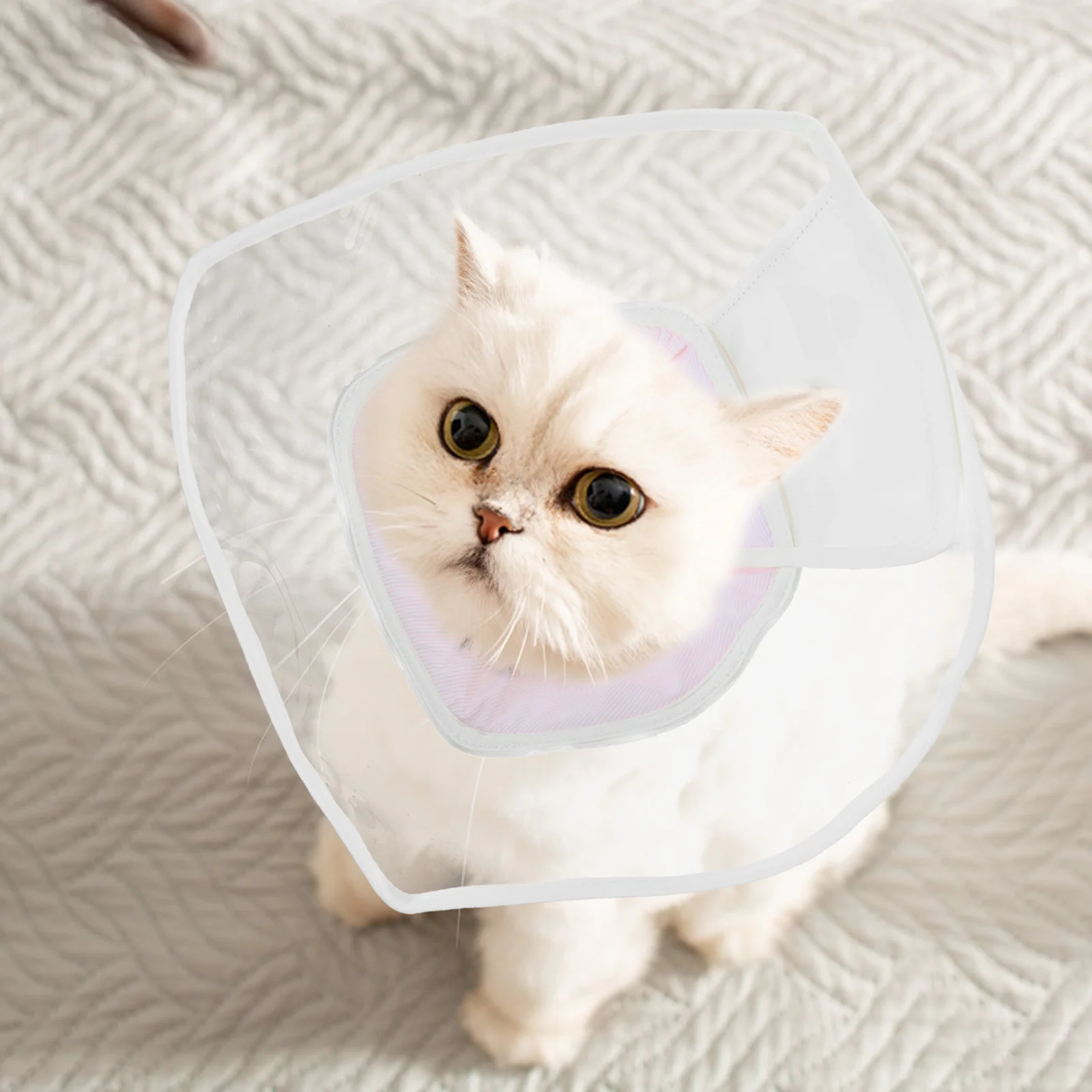 

Cat Cone Collar Soft Breathable Anti-Licking Surgery Recovery Pet Neck Ring Kitten Cone After Surgery Dog Cat Donut Collar