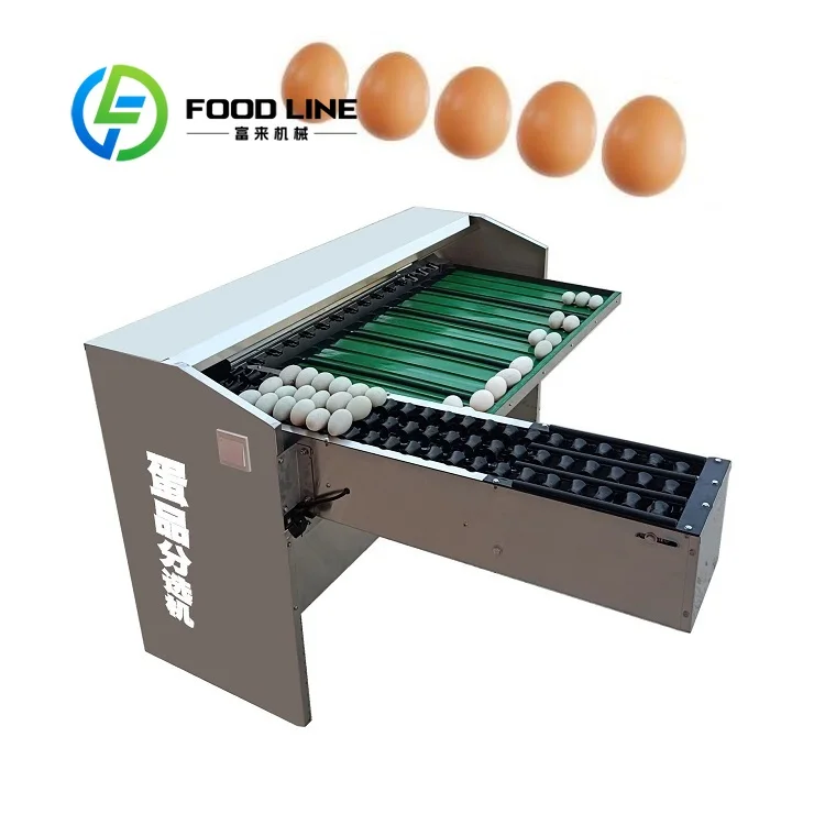 Egg Grading Machine Intelligent Counting Just Like Automatic Egg Grader Tracks Total Egg Volumes Of Every Separated Weight