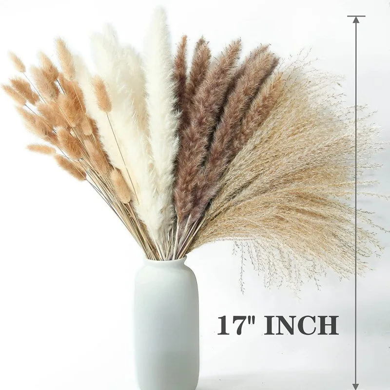 100pcs Pampas Grass Fluffy Phragmites Room Home Decor Natural Dried Flowers Bunny Tail Grass Reed Bouquet for Wedding Decoration